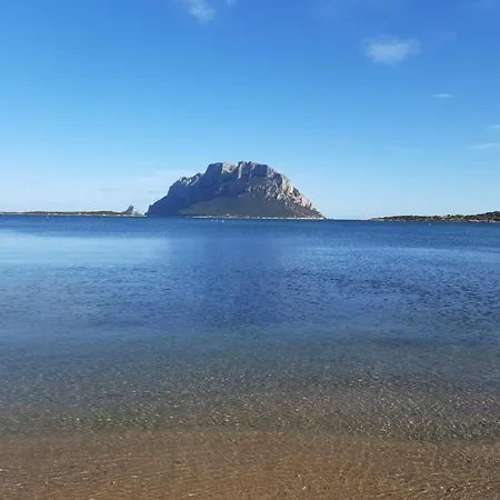 Magic Dalu Con Posto Auto Διαμέρισμα Όλμπια