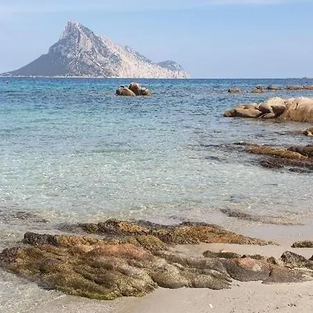 Διαμέρισμα Magic Dalu Con Posto Auto Όλμπια