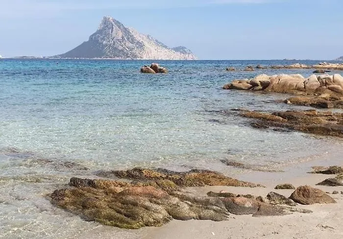 Apartamento Magic Dalu Con Posto Auto Olbia